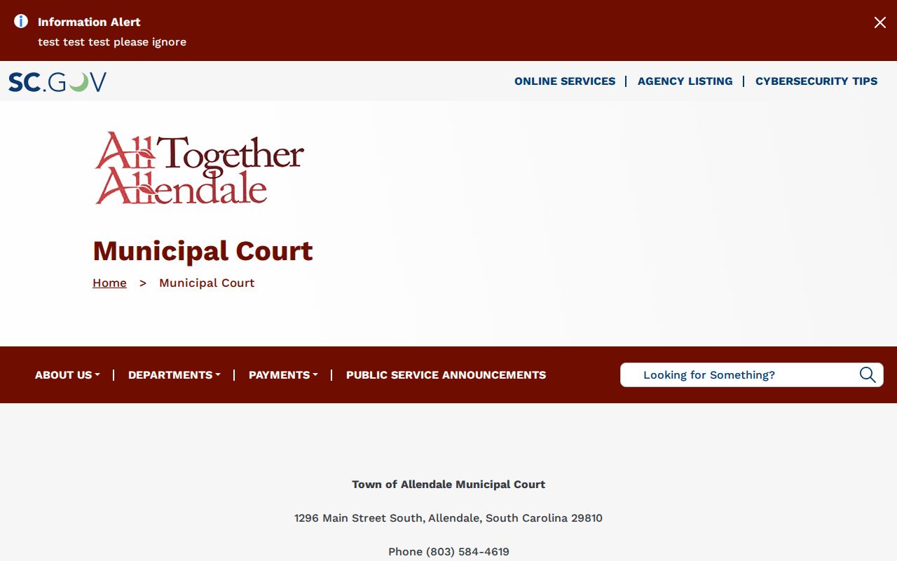 Town of Allendale County municipal criminal court information